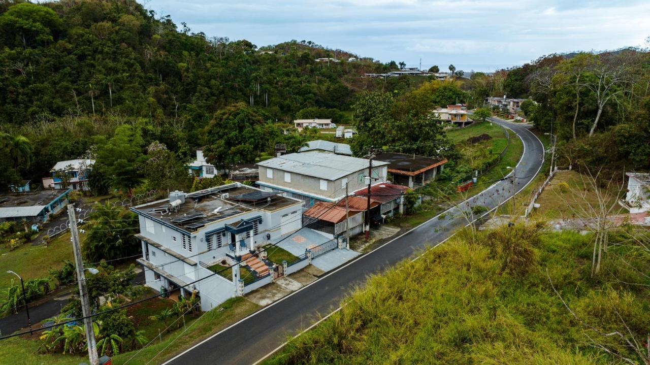 Green Studio 1 - Just 7 Min Drive To The Beach Rincon Exterior foto