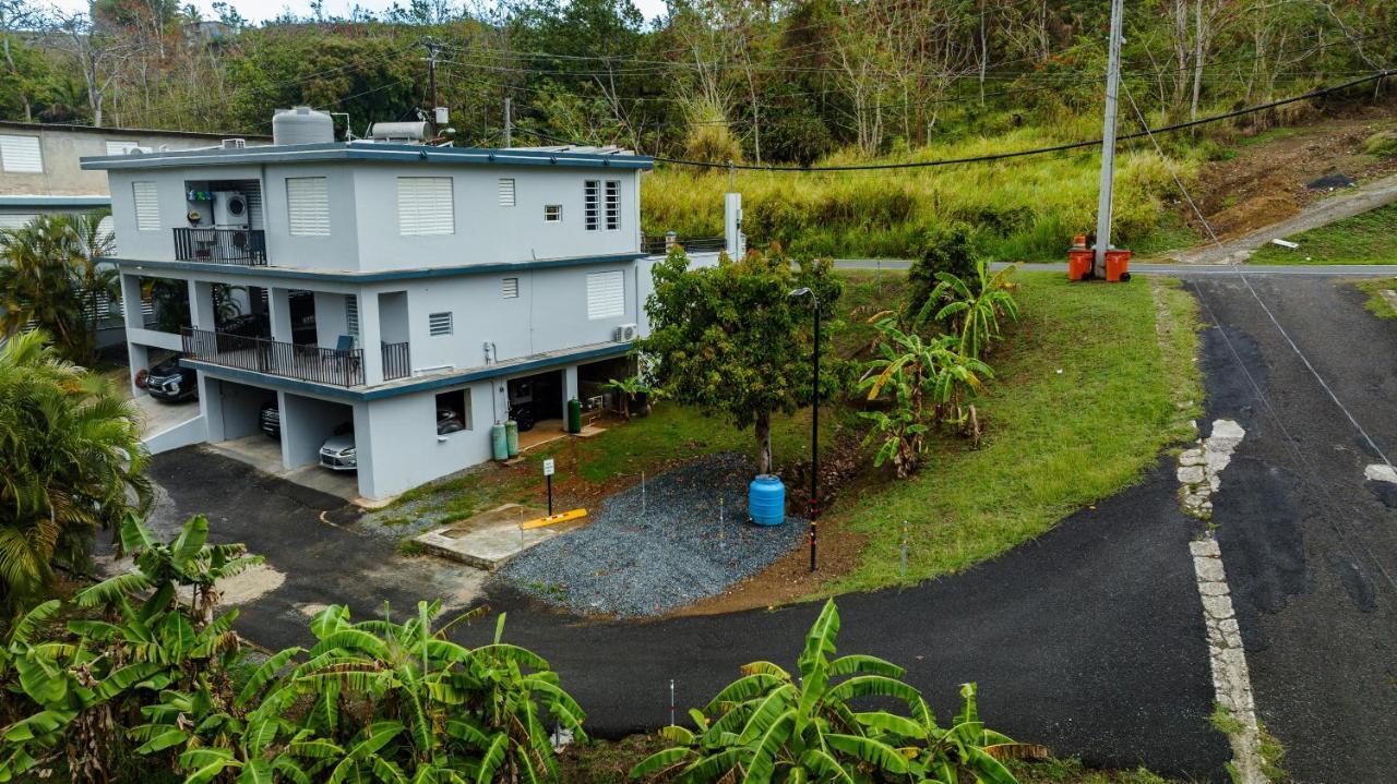 Green Studio 1 - Just 7 Min Drive To The Beach Rincon Exterior foto